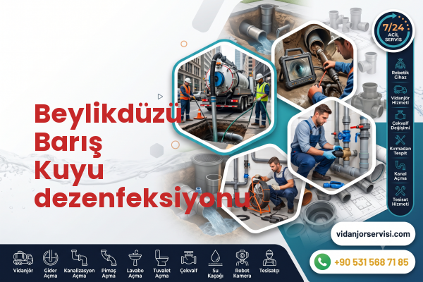 Beylikdüzü Barış Kuyu dezenfeksiyonu